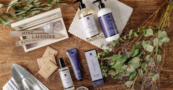 NI Lavender Ylang Beauty 2022 23