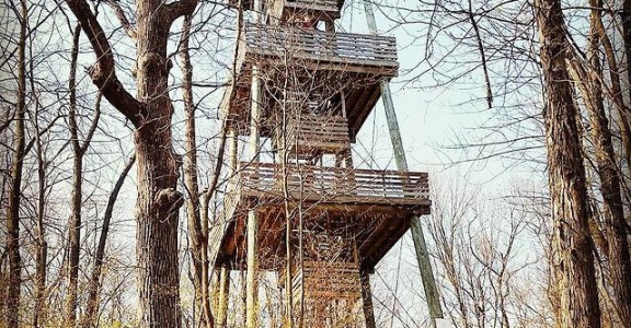 parnell tower promo image